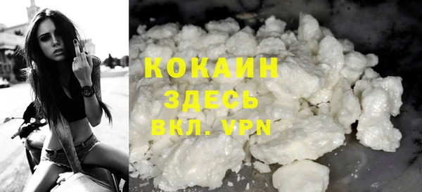 молекула духа Осташков