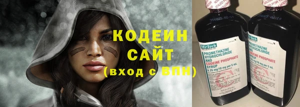 молекула духа Осташков