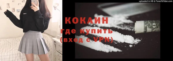 молекула духа Осташков
