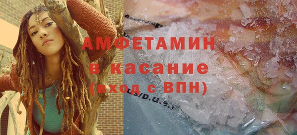 молекула духа Осташков