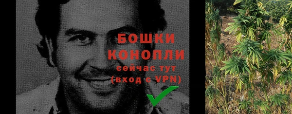 соль ск Осинники