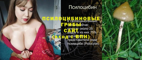 молекула духа Осташков